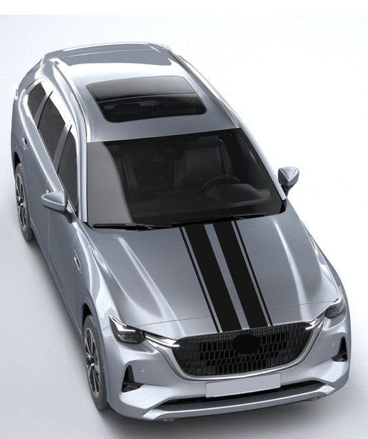 Silver car with black stripes on a light gray background