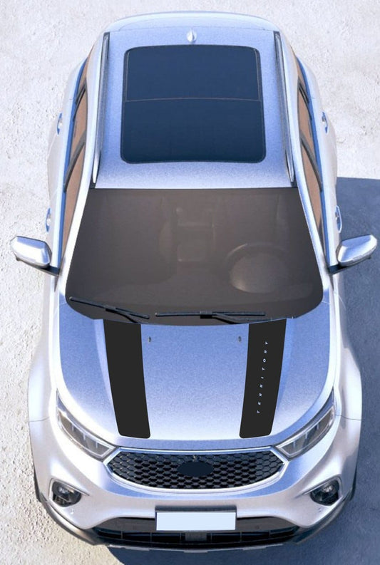 A silver SUV shown from a top-down view, featuring two black decorative stripes on the hood and matching dark tinted window shades.
