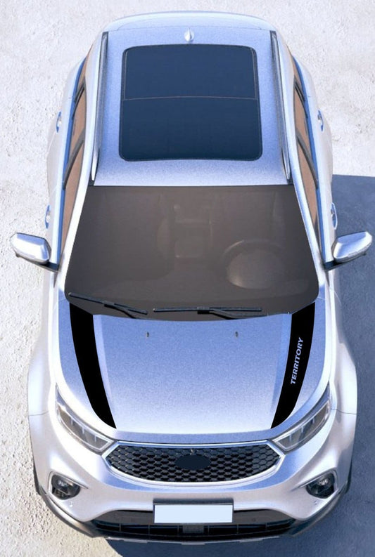 A silver SUV shown from a top-down aerial view, with black vinyl hood decals featuring the word 'TRAILBLAZER' printed vertically on the right side.
