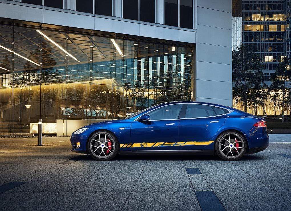 Vinyl Graphics Eagle Graphic For Tesla Model 3 | Model X Stickers | Model Y Stickers Tesla Model S decals